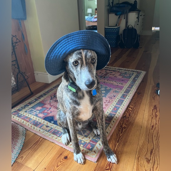 Meet your Posher, Jackie - Picture 1 of 1